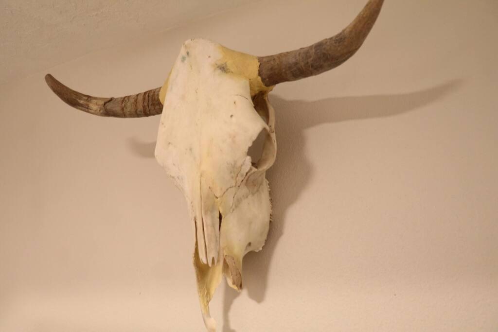 Cowboy Den-Hot Tub-Game Room-Pet Friendly-No Pet Fees! Albuquerque Exterior foto